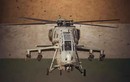 Cận cảnh siêu trực thăng tấn công "nhà trồng được" của Ấn Độ