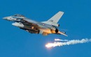 Bao nhiêu quốc gia thuộc NATO đang sở hữu tiêm kích F-16?