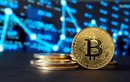 Giá Bitcoin hôm nay 7/7/2023: Thị trường đồng loạt sụt giảm