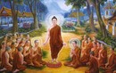 Trước khi tạ thế, Đức Phật để lại 1 câu giá trị ngàn vàng