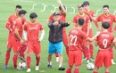 Chọn huấn luyện viên cho tuyển Việt Nam
