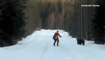 Video: Bị gấu lao tới tấn công, người đàn ông hành động khó tin
