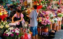 HN: Thị trường hoa 20/10 giá không đắt vẫn tiêu thụ chậm