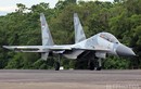 Láng giềng Indonesia hiện đang có trong tay bao nhiêu chiếc Su-30MK2?