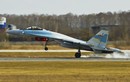 Cận cảnh chiến đấu cơ Su-35 Trung Quốc mới đưa vào biển Đông