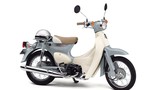 Ngắm dòng xe Honda Little Cub vừa quen vừa lạ