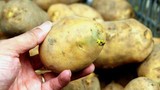 Biểu hiện ngộ độc do ăn khoai tây mọc mầm