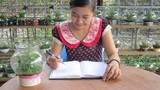 Bình cây sinh thái tiện dụng, siêu rẻ ở Việt Nam