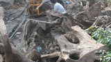 Tiết lộ bí mật cuộc săn “thần dược” ướp xác Việt Nam
