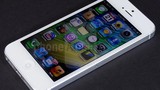 Nên mua iPhone 5 hay đợi iPhone 5S, iPhone 6?