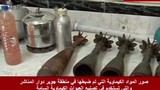 Phát hiện quân nổi dậy Syria trữ vũ khí hóa học ở Damascus