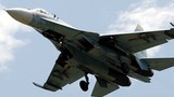 Xuất khẩu vũ khí Nga tới Việt Nam tăng đáng kể