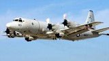 Lộ thêm thông tin Việt Nam có thể mua P-3 Orion