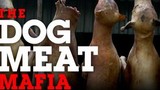 Loạt ảnh “mafia thịt chó” Thái-Việt gây sốc dư luận