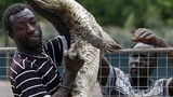 Hình ảnh truy bắt hàng ngàn cá sấu sổng chuồng ở Nam Phi