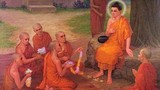 Đức Phật dạy về nhân quả