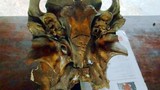 Hộp sọ “Ngưu ma vương” được tìm thấy dưới ao
