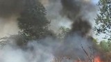 Đốt rác dẫn đến cháy nhiều hecta rừng phòng hộ ở TPHCM.