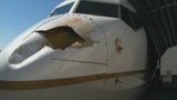 Chim đâm thủng toang mũi máy bay Boeing 737