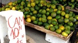 “Bóc trần” cam siêu rẻ giá 10.000 đồng/kg
