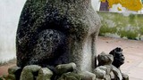 Những chuyện liêu trai về làng thờ thần khuyển ở Hà Nội