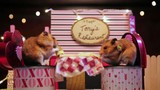 Chuyện khó tin: Chuột cũng hẹn hò đêm Valentine