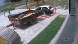 Hai thanh niên đánh xe hơi đi trộm bò