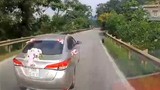 Video: Ôtô phanh gấp tránh con chó lao sang đường suýt bị xe sau đâm phải