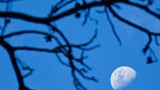 Tại sao ban ngày vẫn thấy được Mặt Trăng?