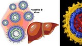 Nguyên nhân nhiễm virus viêm gan B ở trẻ