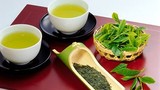 Sai lầm phổ biến về uống trà xanh gây hại khó lường