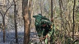 Bà Rịa - Vũng Tàu: Điều tra nguyên nhân vụ cháy 3.000 m2 rừng