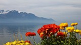 10 lý do khiến Thụy Sĩ hút hồn du khách