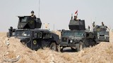 Quân đội Iraq tiến sát thành phố Fallujah