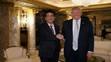 Ảnh: Tổng thống đắc cử Donald Trump gặp Thủ tướng Nhật Abe