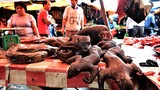 Hãi hùng khu chợ bán thịt khỉ ở Indonesia