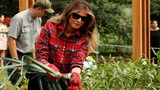 Ảnh: Đệ nhất phu nhân Mỹ Melania thu hoạch rau tại Nhà Trắng