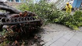 Loạt ảnh gây sốc về siêu bão Maria càn quét đảo Đài Loan