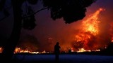 Khủng khiếp cháy rừng giữa thủ đô Hy Lạp, 120 người thương vong