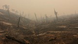Hãi hùng cảnh tượng như “ngày tận thế” do cháy rừng ở California