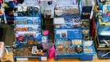Khám phá khu chợ hải sản lớn nhất Seoul