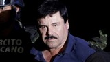 Truy lùng số tài sản “khủng” của trùm ma túy El Chapo