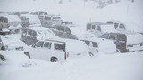 Toàn cảnh nước Mỹ chìm trong băng giá vì bão tuyết kinh hoàng