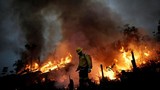 Cháy rừng Amazon dữ dội, sẽ tồi tệ hơn thảm họa năm ngoái?