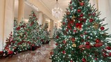 Ảnh: Nhà Trắng được trang hoàng lộng lẫy đón Giáng sinh 2020