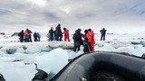 Tận mục cuộc sống của các nhà nghiên cứu ở Nam Cực