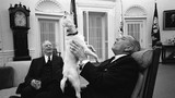Ngắm “Đệ nhất thú cưng” của các vị Tổng thống Mỹ