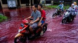 Cận cảnh dòng nước lũ "đỏ như máu" tràn vào ngôi làng ở Indonesia