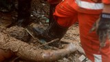 Sập mỏ vàng ở Indonesia, nhiều người chết và mất tích