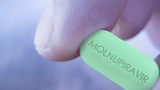 Thuốc Molnupiravir hiệu quả với mọi biến chủng COVID-19: Sắp được Mỹ cấp phép?